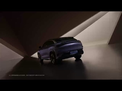 시 라이온 07 EV 2024 550 사륜 구동 스마트 에어 버전 5도어 5석 SUV